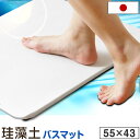 ★送料無料★ 天日干しOK 殺菌・消毒 日本製 珪藻土バスマット L 55×43cm 大判 バスマット 珪藻土 速乾 足拭きマット 足乾バスマット 足ふき お風呂 風呂 洗面所 脱衣所 国産 マット 無地 珪藻土 お祝い