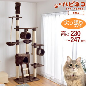 【送料無料】 キャットタワー 高さ230〜247cm 突っ張り スリム 猫タワー 爪研ぎ 麻紐 ねこ 猫 ネコ キャットタワー つめとぎ ハンモック キャットハウス おしゃれ 猫タワー つっぱり