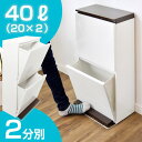 ◆20時〜4H限定!全品P10倍◆【送料無料】 ゴミ箱 分別 2段 40L ペダル式 ワイド ...