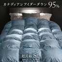 【20時~5%OFFクーポン】 カナダ産 アイダーダウン95% 日本製 羽毛布団 シングル ロング 綿100% 立体キルト 超長綿 300サテン 5年保証 シン...