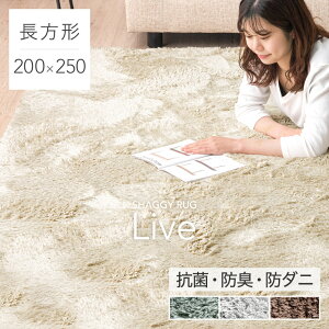 【正午~5%OFFクーポン】 さらふわ手触り シャギーラグ 200×250 抗菌 防臭 防ダニ 低ホル 洗える 防音 滑り止め ラグ ラグマット オールシーズン シャギー ウレタン 北欧 長方形 四角 3畳 カーペット 絨毯 じゅうたん リビング インテリア 可愛い おしゃれ