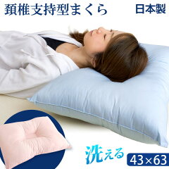 https://thumbnail.image.rakuten.co.jp/@0_mall/storage-g/cabinet/bedding_item/makura/87190021_10a.jpg