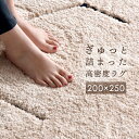 ★送料無料★ 高密度 ラグ 200×250 ホットカーペット対応 長方形 カーペット ラグマット マット オールシーズン 四角 北欧 おしゃれ 絨毯 秋冬 床暖房 8畳