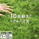 “10年使える” 超高密度 リアル 人工芝 1m×10m 芝丈25mm U字ピン 24本 セット ロール 10m 1m ピン 高耐久 高密度 リアル 人工芝 人...