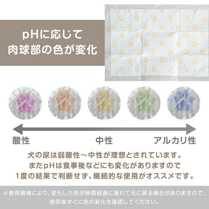 【本日クーポン5%引】 お家で健康チェック！ pH測定 ペットシーツ 薄型 レギュラー...