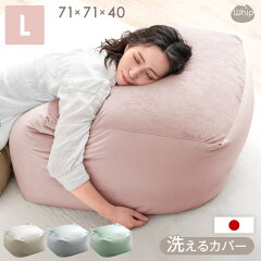 https://thumbnail.image.rakuten.co.jp/@0_mall/storage-g/cabinet/sofa/kussyon/44030201_10.jpg