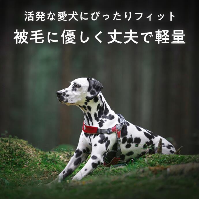 中型犬 大型犬用 ハーネス 簡単装着 犬 おしゃれ 負担が少ない かわいい ブランド 引っ張り防止 クッション入り 抜けない - angle 1