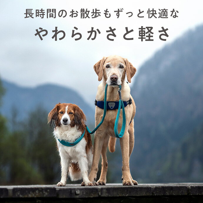 犬 リード コーラルピーナ 110cm 50cm チンクエトッリ クラシック パワーミックス 小型犬 中型犬 大型犬 おしゃれ オシャレ お洒落 かわいい かっこいい 人気 反射 軽い Cinquetorri 引っ張り防止 手首の負担が少ない イタリア製 ブランド 冬 リード 散歩 手洗い可能 2