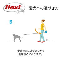 フレキシflexi伸縮リードニューコンフォートコードタイプSサイズ8メートル