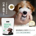 犬用 サプリメント プラークコントロール ペッツパーク | 有用成分: ノルウェージャン・ケルプ （海藻） ココナッツパウダー