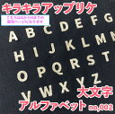 アイロン アップリケ イニシャル ゴシック ワッペン/キラキラ アルファベット 002 入園準備 お名前　記念撮影 手作り 赤ちゃん SNS 海外 北欧デザイン おしゃれ 保育園 オリジナル作成 入園準備 アステリデザイン asterie design 新入荷bonjour little one