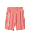 【SALE/30%OFF】【公式】MOVESPORT デサント ハイゲージ ショーツ メンズ 男性 吸汗速乾 ストレッチ UVカット サンスクリーン 練習 部活 TAIKYU ハーフパンツ ショートパンツ トレーニング スポーツ ブランド 2025年春夏モデル ST5SHP03M