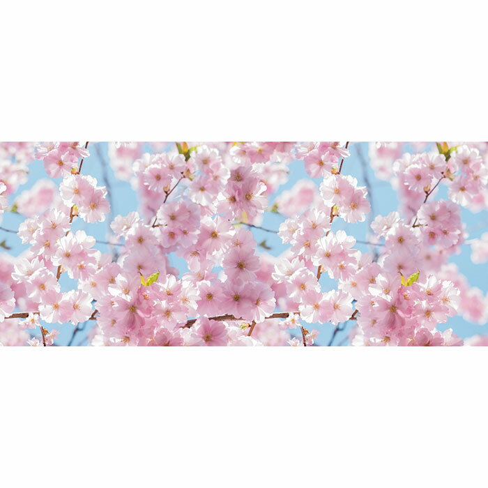 【5%OFFクーポン有り!ブラックフライデー期間中♪】ディスプレイシート 桜 1シート送料無料 桜 さくら サクラ 飾り ディスプレイ 春 タペストリー 飾り ...