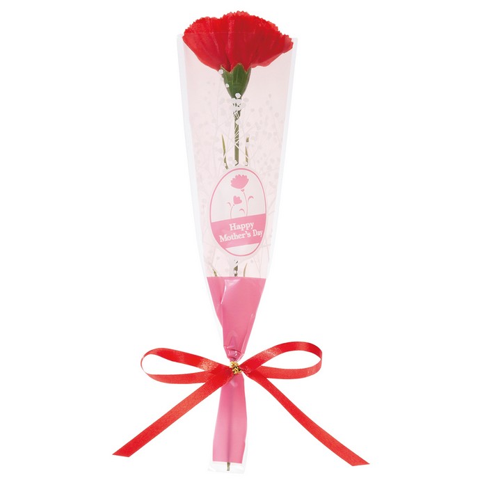 ��20������ۥ����͡�������ܥ��å״� L21cm��ܥ��դ������襤����åԥ󥰡�����̵�� �����͡������ ����� ¤�� ���� 1�� �ץ쥼��� ���ե� ...