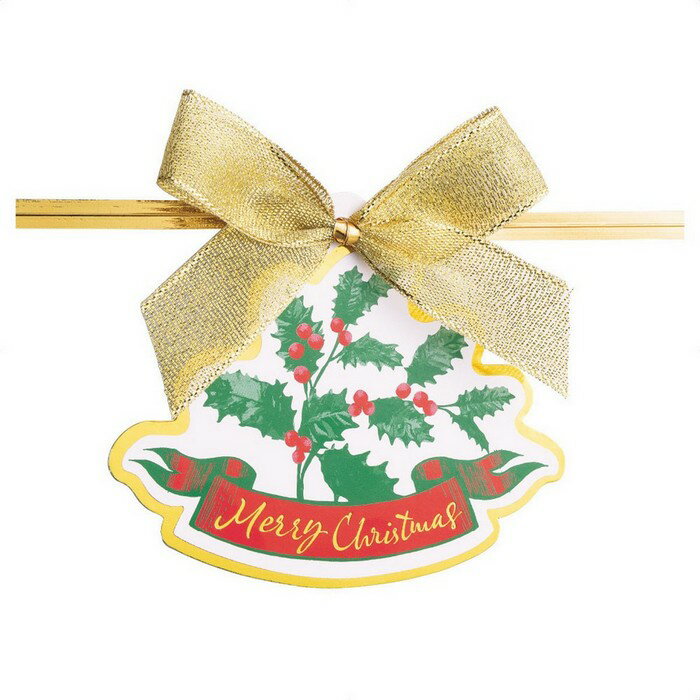【10個入り】クリスマス ワイヤータイ ヒイラギ袋の口をしぼったり、ボトルのネックに巻いたりして便利にお使いいただけます。ラッピング ワイヤータイ ギフト リボ...