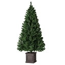 スクエアベースクリスマスツリー スタンダード H150cm 1本重量感のある木製ベースで高級感アップ。ツリーの形はスタンダードなタイプです。クリスマスツリー 150cm ヌードツリー オーナメントなし シンプル