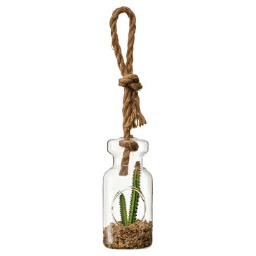フェイクテラリウムグリーンハンギングボトル サボテン夏に人気のトロピカルディスプレイにぴったりなフェイクグリーンです。麻ひも付きで吊るして使えます。フェイクグリーン 人工観葉植物 おしゃれ ミニ 卓上