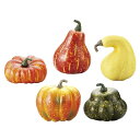 【10%OFFクーポン有り!5月30日限り】【5個セット】パンプキンアソートハロウィン かぼちゃ カボチャ オブジェ 置物 インテリア 飾り 装飾 ディスプレイ