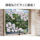 ウインドウステッカー桜 1セット静電気でピタッと吸着!剥がすときも跡が残らずラクちん。送料無料 桜 さくら サクラ インテリア 飾り ディスプレイ 春 ウインドウ シール ステッカー 窓 壁