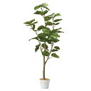 フィカスウンベラータ(人工樹木) 155cm 1台送料無料 フェイクグリーン 観葉植物 フェイク リアル 大型 インテリア 大きい 鉢植え 鉢 セット