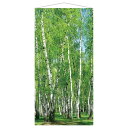 タペストリー 白樺 90×180cm 1枚白樺のタペストリーでさわやかな夏の売場を演出。 夏の店舗装飾に人気の和風ディスプレイにもぴったりです。送料無料 タペス...