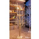 【10%OFFクーポン有り!7月20日限り】リモコン付き 白樺クリスマスツリースタンド H150cmクリスマスツリー ブランチツリー おしゃれ 北欧 ライト l...