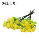 【24本組】菜の花スプレー 50cm暖かみのある菜の花でお店の印象をパッと明るく。菜の花は2〜5月に