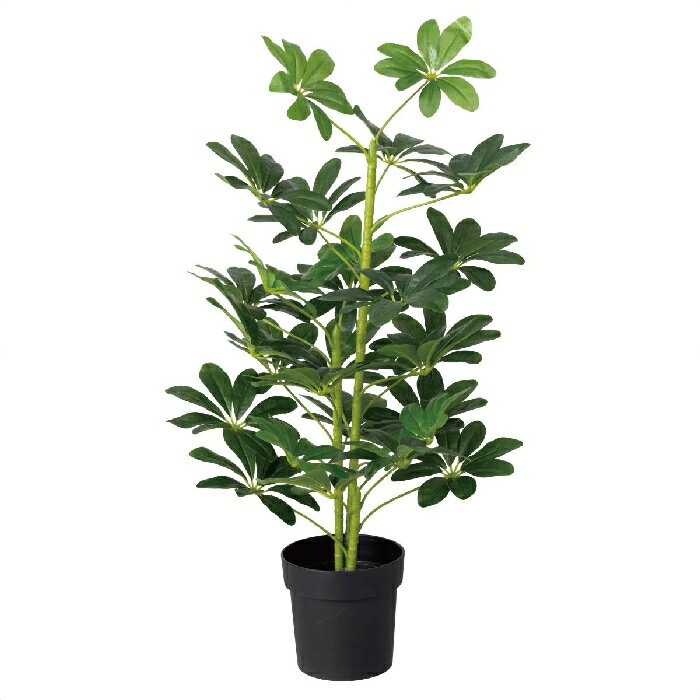 ヤドリフカノキ 120cm 1台茎も緑色をしているのが特徴の観葉植物。フェイクなので手間いらず。グリーンで涼しげな店舗ディスプレイに。送料無料 フェイクグリーン 観葉植物 フェイク 人工観葉植物 リアル インテリアのサムネイル