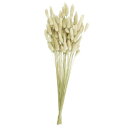 【10%OFFクーポン有り!8月25日限り】ドライフラワー ラグラス 1セットドライフラワー 花材 造花 ラグラス