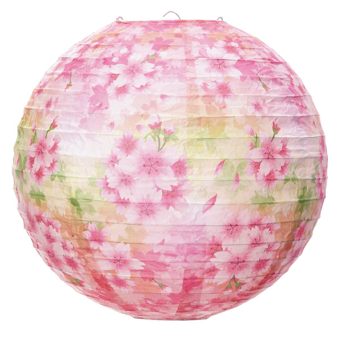 紙製ちょうちん 白桜 1個春の訪れを感じさせる華やかで和風のちょうちんで、空間を明るく彩ります。送料無料 さくら サクラ インテリア 提灯 飾り 装飾 ディスプレイ 春 吊り下げ 飾り付け 祭り