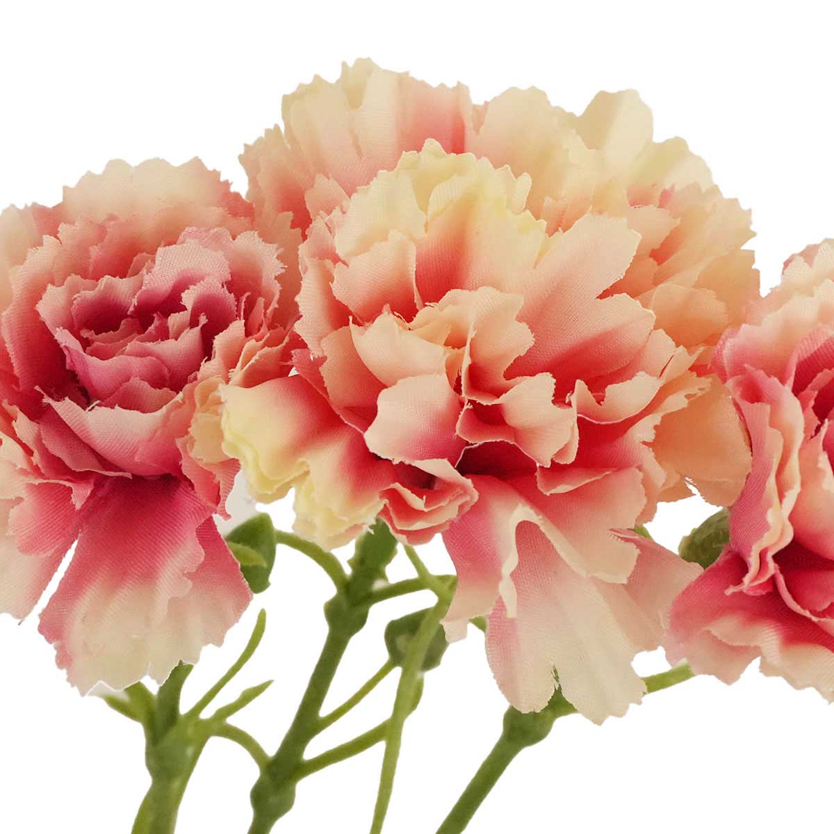 ��6«����ۥ����͡������Х�� Ĺ��30cm �ӥ塼�ƥ������Τޤ��֤����ꡢ���Ӥ��ޤ��ƾ��ä��ꡢ�ơ��֥��쥸�����󥿡���¤�֤���äƽդ餷���ǥ����ץ쥤�ˡ�����̵�� ¤�� �ѡ��� ��« �ե����� �ꥢ�� 1�� 1�� �����