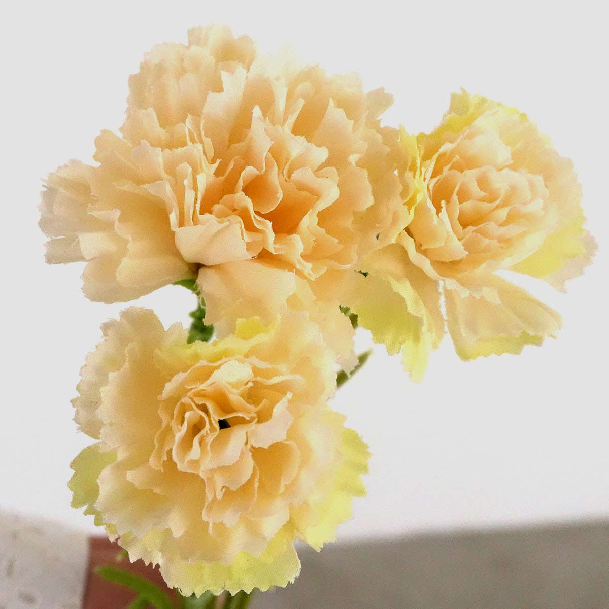 ��6«����ۥ����͡������Х�� Ĺ��30cm ���꡼�ळ�Τޤ��֤����ꡢ���Ӥ��ޤ��ƾ��ä��ꡢ�ơ��֥��쥸�����󥿡���¤�֤���äƽդ餷���ǥ����ץ쥤�ˡ�����̵�� ¤�� �ѡ��� ��« �ե����� �ꥢ�� 1�� 1�� �����