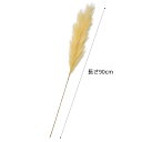 【6本入り】カラーパンパススプレー 90cm クリーム秋に人気のパンパスグラスの造花。1本の茎から複数のお花が付いたデザインのスプレーです。送料無料 造花 インテリア 飾り 装飾 パーツ フェイクフラワー フェイク リアル 一輪 1輪 秋
