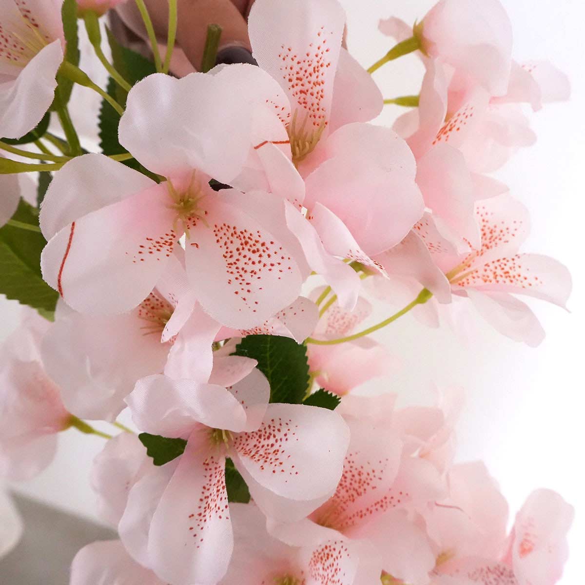 ������ܥ�塼�६������ 180cm 1�����������ʤɤ˻Ȥ��䤹��������Υ������ɤǤ�������ê���֤����ꡢ�若�����Ĥ˴������ꡢ����Ȥäƽդ餷��Ź�ޥǥ����ץ쥤�ˡ�����̵�� �� ���� ���� �ѡ��ƥ� �ߤ겼�� �ǥ��졼����� ������ ������ ��