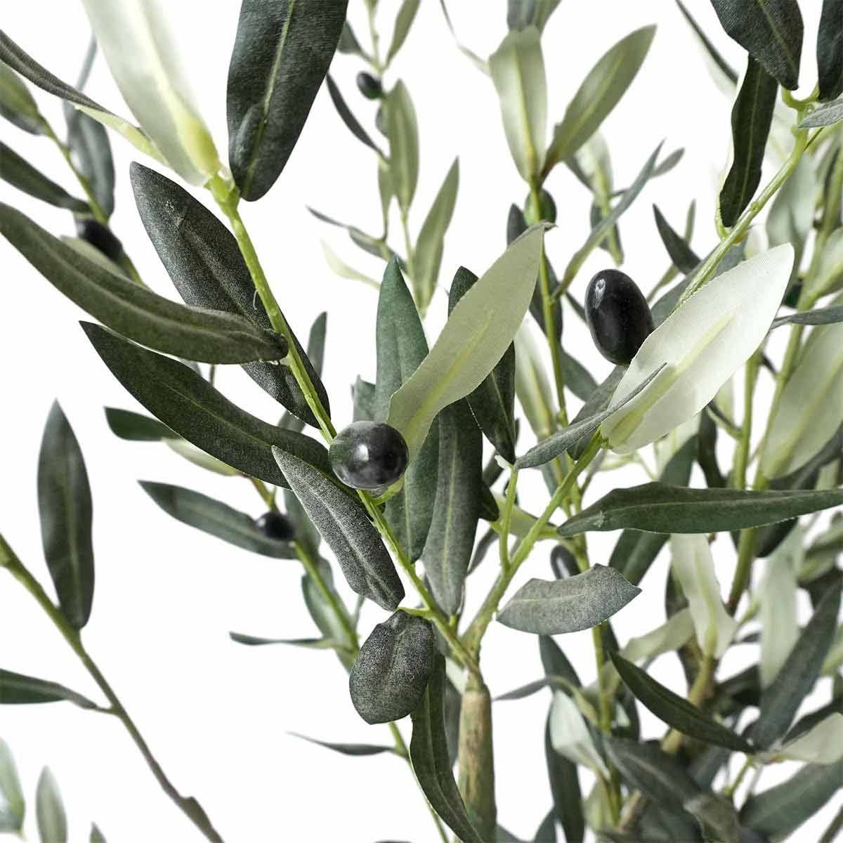 �ե��������꡼�� ���꡼�� �⤵150cm 1��ꥢ����դȴ��ǡ���ʪ�Υѥ���Τ褦��¸�ߴ���Ƹ����ʤ��顢���ꡦ�������ꡦ���к��ϰ������ס�����̵�� ���տ�ʪ �ե����� �͹����տ�ʪ �ꥢ�� �緿 ȭ���� ����ƥꥢ �礭�� ��ӥ�