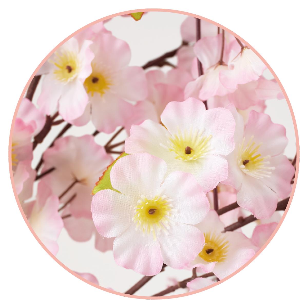 �������Ω���� �⤵150cm 1����ʪ���ä����¤�֤�Ȥä���Ω���ڡ�Ź�����������졢���硼�롼��νեǥ����ץ쥤�˺�Ŭ�Ǥ�������̵�� �� ������ ������ �ե��������꡼�� �͹����տ�ʪ �ե����� �ꥢ�� �緿 �ָ� ����ƥꥢ