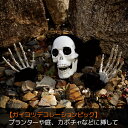 【5%OFFクーポン有り!マラソン期間中♪】ガイコツデコレーションピック 1セット送料無料 ハロウィン 飾り 怖い ホラー スカル ドクロ 装飾 グッズ 屋外 骸骨