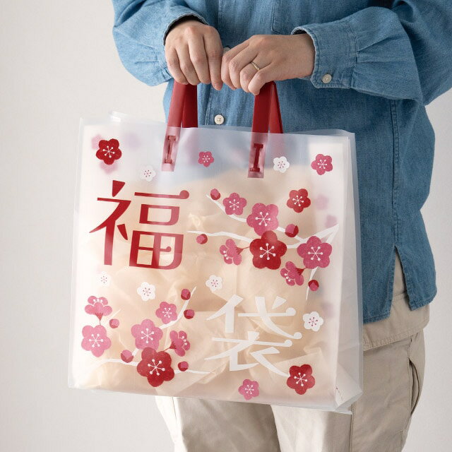 【10枚入り】福袋 フロストバッグ 梅 35×12×35cmお正月感のあるレトロポップなデザインが素敵。中身が見えて人気のフロストタイプから新登場!送料無料 ギフトバッグ ラッピング 正月 セール 手提げ 袋 ハッピーバッグ 業務用 store-express-10024891 ストア・エキスプレス 楽天市場店 サンプル画像2