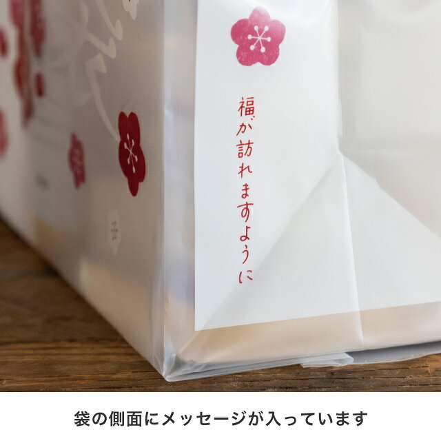 【10枚入り】福袋 フロストバッグ 梅 20×10×25cmお正月感のあるレトロポップなデザインが素敵。中身が見えて人気のフロストタイプから新登場!送料無料 ギフトバッグ ラッピング 正月 セール 手提げ 袋 ハッピーバッグ 業務用 store-express-10024897 ストア・エキスプレス 楽天市場店 サンプル画像3