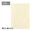【100枚入り】不織布 インナーバッグ 薄タイプ ベージュ 30×40cm高級感のある不織布製内袋をリーズナブルにご提供!包む手間が不要に。ショッパーバッグに入...