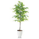 【10%OFFクーポン有り!5月25日限り】【個人宅配送不可】ベンジャミン(人工観葉植物) 高さ200cm 光触媒加工 1台送料無料 フェイクグリーン 観葉植物...