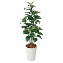 【10%OFFクーポン有り!5月25日限り】【個人宅配送不可】フェイクグリーン ポトス 120cm 1台送料無料 フェイクグリーン 観葉植物 フェイク 人工観葉...