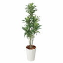 【10%OFFクーポン有り!5月25日限り】【個人宅配送不可】フェイクグリーン ドラセナ 120cm 1台送料無料 フェイクグリーン 観葉植物 フェイク 人工観...