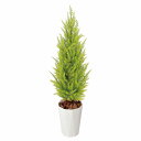 【10%OFFクーポン有り!5月25日限り】【個人宅配送不可】フェイクグリーン ゴールドクレスト ゴールド 120cm 1台送料無料 フェイクグリーン 観葉植物...