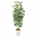 【10%OFFクーポン有り!5月25日限り】【個人宅配送不可】フェイクグリーン シェフレラ 170cm 1台送料無料 フェイクグリーン 観葉植物 フェイク 人工...