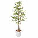 【5%OFFクーポン有り!6月30日限り】【個人宅配送不可】フェイクグリーン エバーフレッシュ 鉢付き 150cm 1台送料無料 フェイクグリーン 観葉植物 フェイク 人工観葉植物 リアル 大型 インテリア 大きい リビング