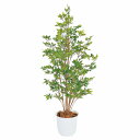 【10%OFFクーポン有り!5月25日限り】【個人宅配送不可】人工観葉植物 ベンジャミングリーン 150cm 1台送料無料 フェイクグリーン 観葉植物 フェイク...