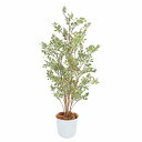【10%OFFクーポン有り!5月25日限り】【個人宅配送不可】人工観葉植物 ベンジャミンハワイアン 150cm 1台送料無料 フェイクグリーン 観葉植物 フェイ...