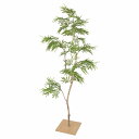 【10%OFFクーポン有り!5月25日限り】【個人宅配送不可】フェイクグリーン エバーフレッシュ 板付き 150cm 1台送料無料 フェイクグリーン 観葉植物 ...