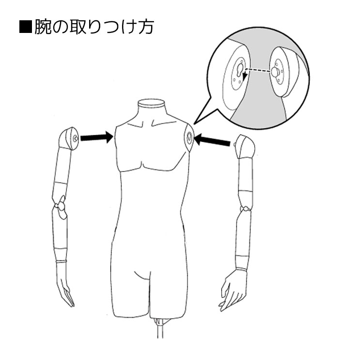 ストア・エキスプレス 楽天市場店の【業務用】軽量ABS製婦人腕付き卓上トルソー 9号 1台軽量ABS製で取り扱い易いローコスト腕付き卓上ボディ。トルソー レディース マネキン 女性 9号 上半身 ディスプレイ｜アングル3